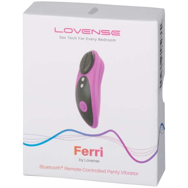 24064-lovense-ferri-remote-controlled-panty-vibrator_90_pack_q100
