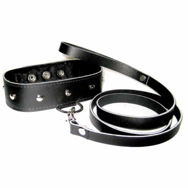 leather-leash-and-collar
