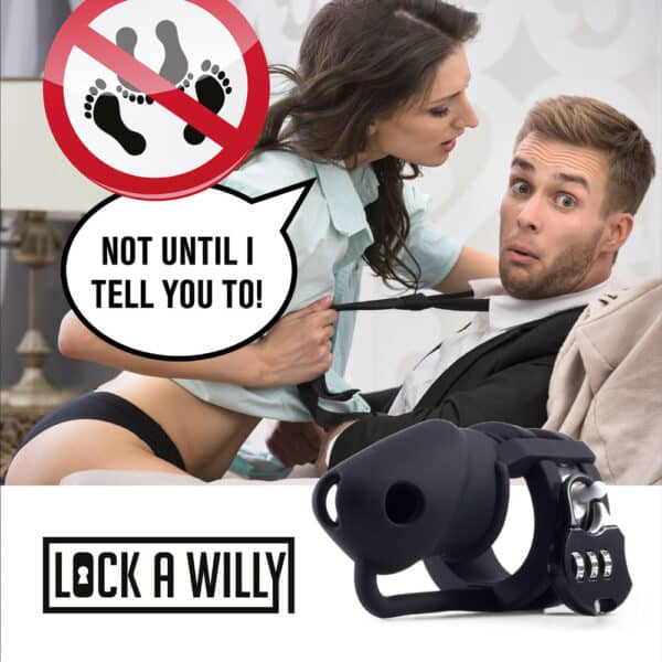 lock-a-willy-05