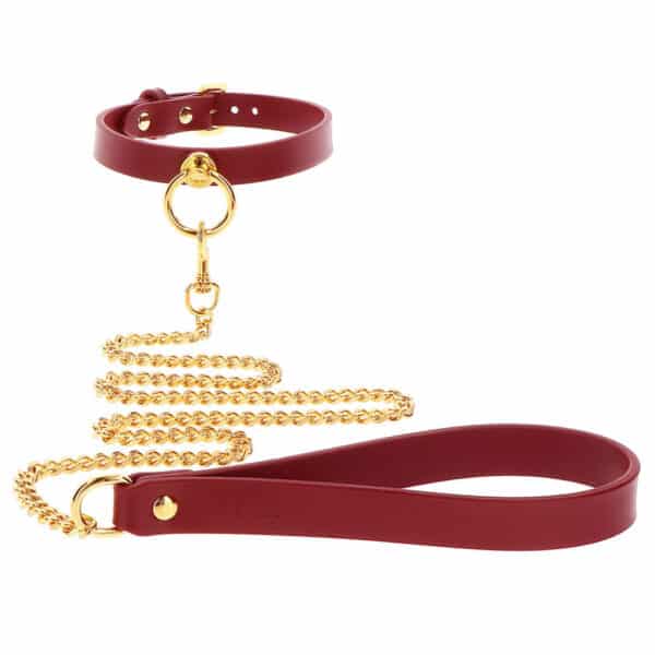 taboom-collar-leash-001